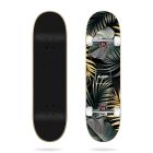 SKATE ALOIKI KUTA 7,75’’X31,6’’