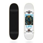 SKATE TRICKS LIFE 7,87’’X31,60’’