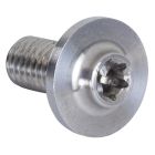 TORNILLO POWERSLIDE TI MOUNTING TORX T-25 16MM (PACK 2)