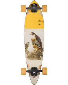 SHORTBOARD GLOBE PINTAIL FALCON 34’’