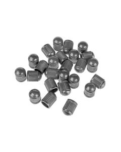 VALVE PLUG (UNIT)