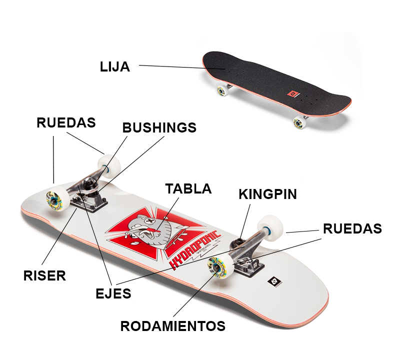 Partes de un skateboard