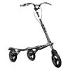Category Trikke image